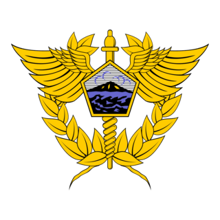 Logo Bea Cukai Tanjung Pinang